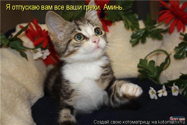 Котоматрица: Я отпускаю вам все ваши грехи. Аминь.