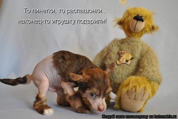 Котоматрица: То пинетки, то распашонки... наконец-то игрушку подарили!