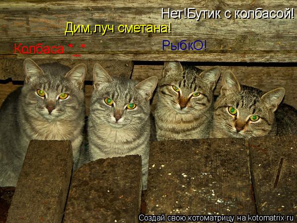Котоматрица: Колбаса *_* Дим,луч сметана! РыбкО! Нет!Бутик с колбасой!