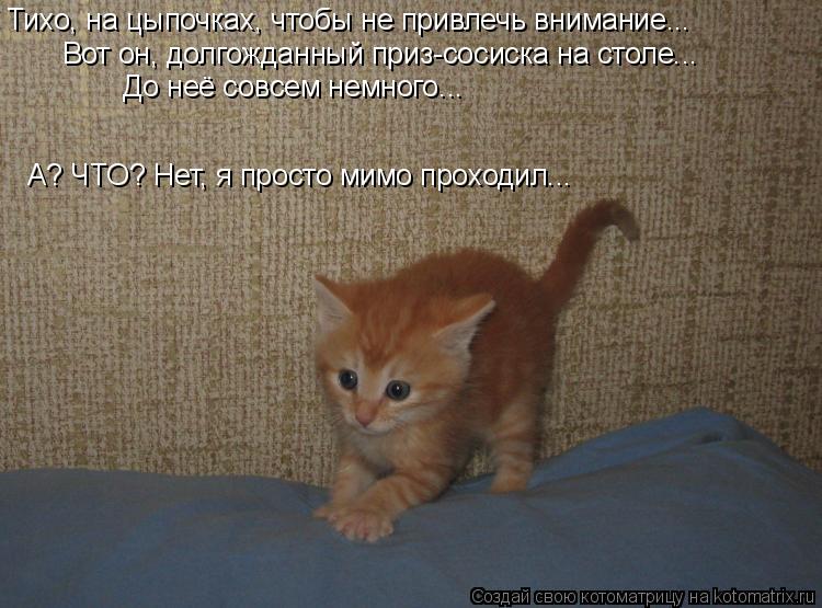 Котоматрица: Тихо, на цыпочках, чтобы не привлечь внимание... Вот он, долгожданный приз-сосиска на столе...  До неё совсем немного... А? ЧТО? Нет, я просто мимо
