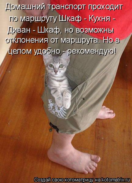 Котоматрица: Домашний транспорт проходит  по маршруту Шкаф - Кухня -  Диван - Шкаф, но возможны отклонения от маршрута. Но в целом удобно - рекомендую!