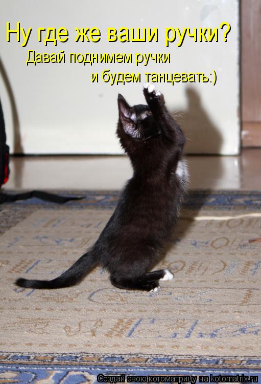Ну где же ваши ручки? Давай поднимем ручки и будем танцевать:)... Котоматрица: Ну где же ваши ручки? Давай поднимем ручки и будем танцевать:)