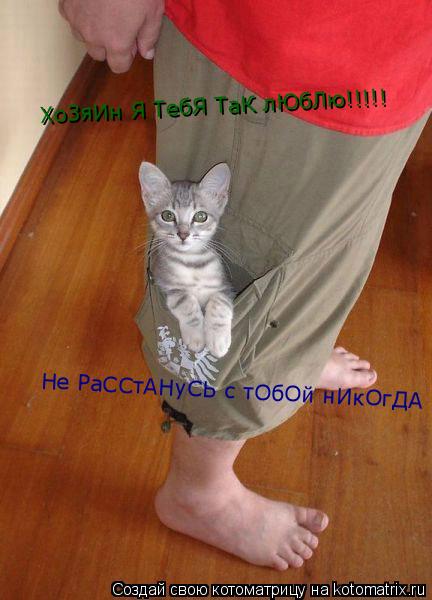 Котоматрица: ХоЗяИн Я ТебЯ ТаК лЮбЛю!!!!! Не РаССтАНуСЬ с тОбОй нИкОгДА