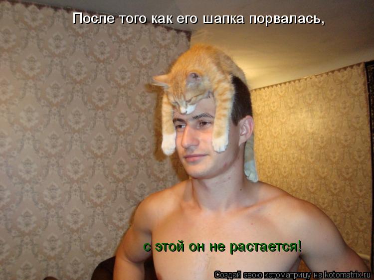 Котоматрица: После того как его шапка порвалась, с этой он не растается!