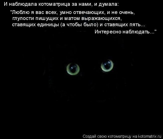 Котоматрица: "Люблю я вас всех, умно отвечающих, и не очень, глупости пишущих и матом выражающихся, И наблюдала котоматрица за нами, и думала: Интересно на