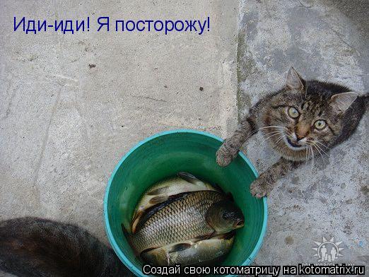Котоматрица: Иди-иди! Я посторожу!