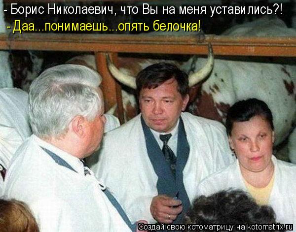 Котоматрица: - Борис Николаевич, что Вы на меня уставились?! - Даа...понимаешь...опять белочка!