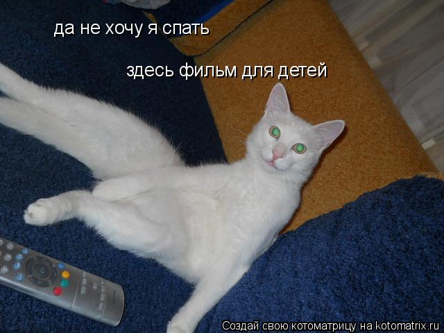 Котоматрица: да не хочу я спать здесь фильм для детей да не хочу я спать