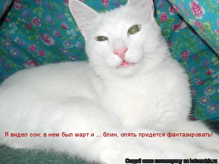 Котоматрица: Я видел сон: в нем был март и ... блин, опять придется фантазировать!