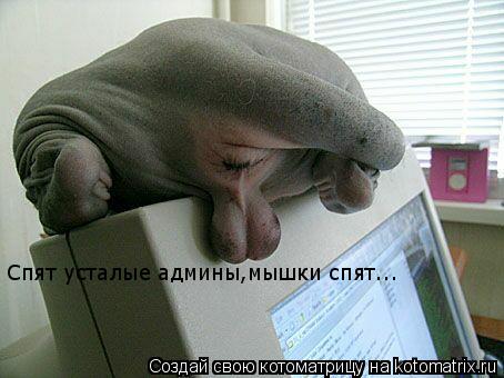 Котоматрица: Спят усталые админы,мышки спят...