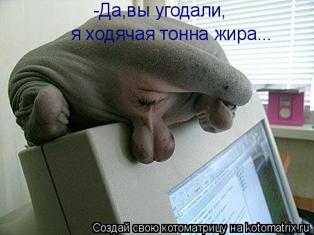 Котоматрица: -Да,вы угодали, я ходячая тонна жира...