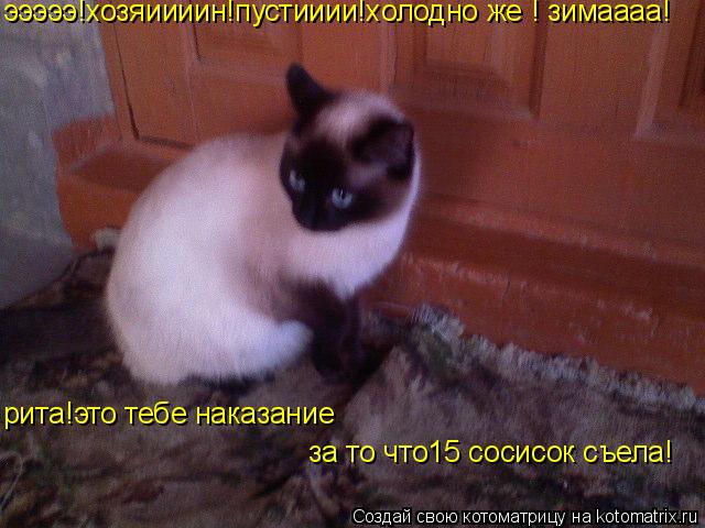 Котоматрица: эээээ!хозяиииин!пустииии!холодно же ! зимаааа! рита!это тебе наказание    за то что15 сосисок съела!
