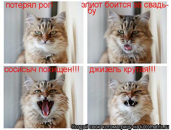 Котоматрица: сосисыч похищен!!! элиот боится за свадь- бу джизель крутая!!! потерял рог!