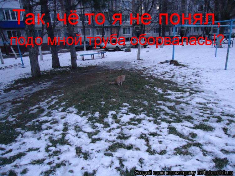 Котоматрица: Так, чё то я не понял, подо мной труба оборвалась!?