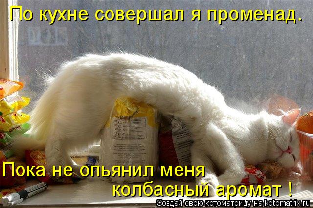 По кухне совершал я променад. Пока не опьянил меня колбасный аромат !... Котоматрица: По кухне совершал я променад. Пока не опьянил меня колбасный аромат !