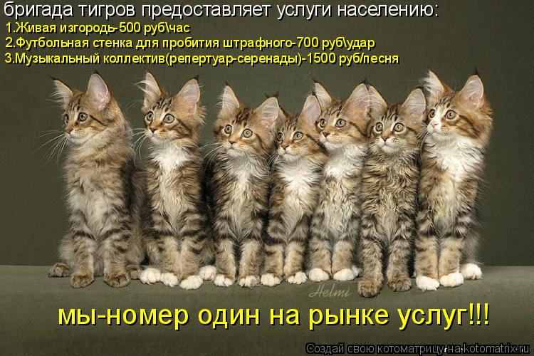 Котоматрица: бригада тигров предоставляет услуги населению: 1.Живая изгородь-500 руб\час 2.Футбольная стенка для пробития штрафного-700 руб\удар 3.Музыкальн