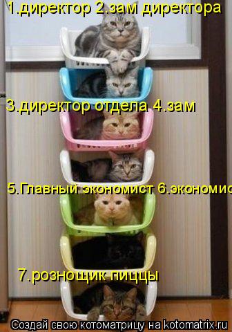 Котоматрица: 1.директор 2.зам директора 3.директор отдела 4.зам  5.Главный экономист 6.экономист 7.рознощик пиццы