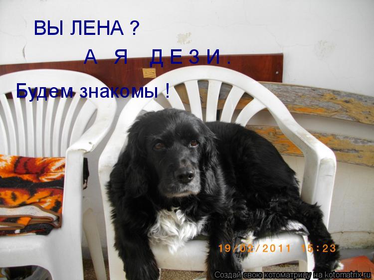 Котоматрица: ВЫ ЛЕНА ? А   Я    Д Е З И . Будем знакомы !