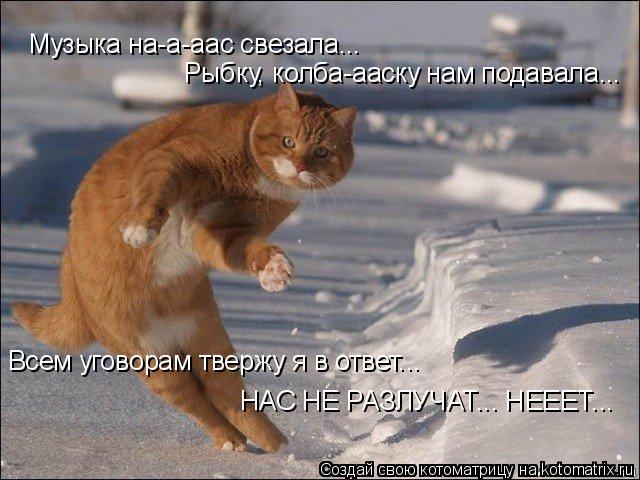 Котоматрица: Музыка на-а-аас свезала... НАС НЕ РАЗЛУЧАТ... НЕЕЕТ... Рыбку, колба-ааску нам подавала... Всем уговорам твержу я в ответ...