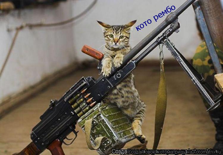 Котоматрица: кото рембо