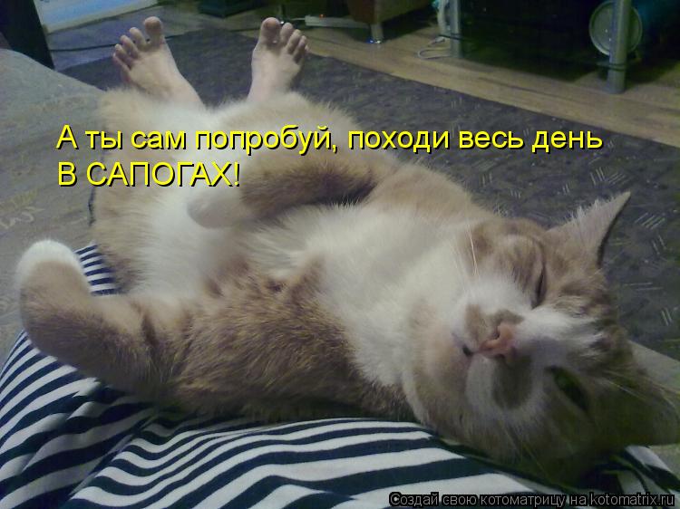 А ты сам попробуй, походи весь день В САПОГАХ!... Котоматрица: А ты сам попробуй, походи весь день В САПОГАХ!