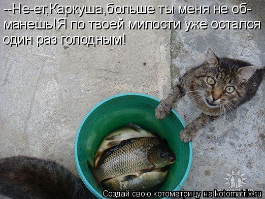 Котоматрица: --Не-ет,Каркуша,больше ты меня не об- манешь!Я по твоей милости уже остался один раз голодным!