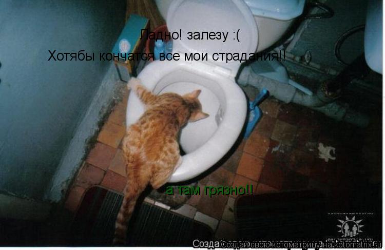 Котоматрица: Ладно! залезу :( Хотябы кончатся все мои страдания!! а там грязно!!