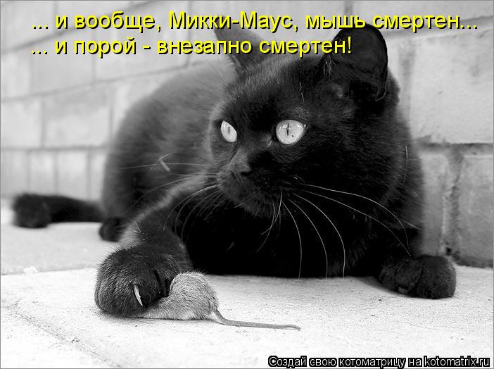 Котоматрица: ... и вообще, Микки-Маус, мышь смертен... ... и порой - внезапно смертен!