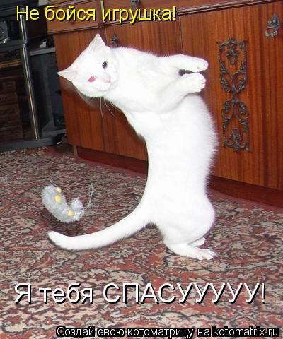 Котоматрица: Не бойся игрушка! Я тебя СПАСУУУУУ!