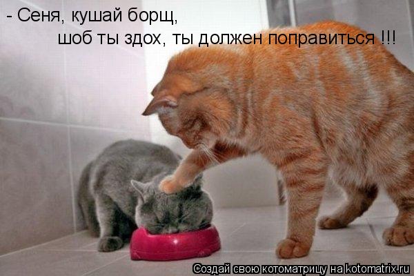 Котоматрица: - Сеня, кушай борщ, шоб ты здох, ты должен поправиться !!!