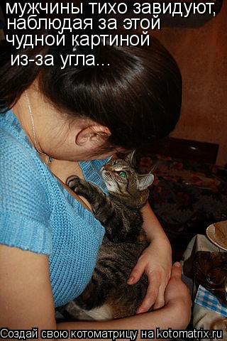 Котоматрица: мужчины тихо завидуют, наблюдая за этой чудной картиной из-за угла...