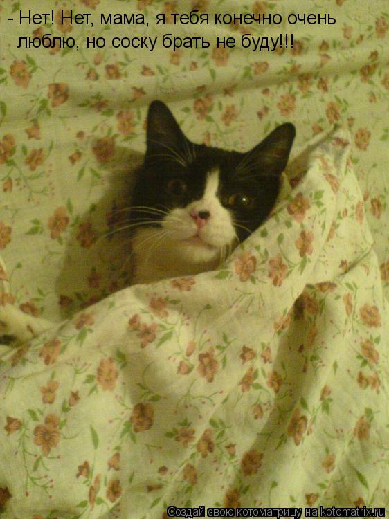 Котоматрица: - Нет! Нет, мама, я тебя конечно очень люблю, но соску брать не буду!!!