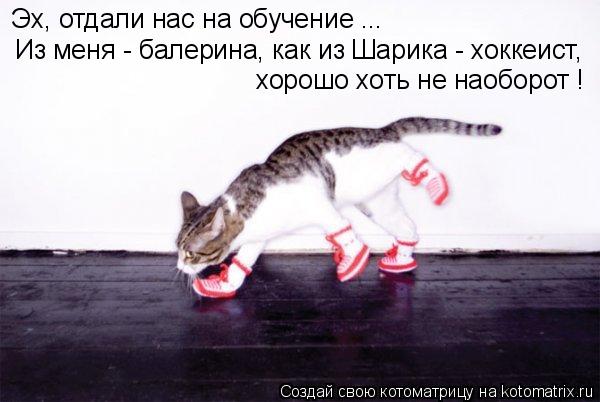 Эх, отдали нас на обучение ... Из меня - балерина, как из Шарика - хоккеист, хорошо хоть не наоборот... Котоматрица: Эх, отдали нас на обучение ... Из меня - балерина, как из Шарика - хоккеист, хорошо хоть не наоборот !