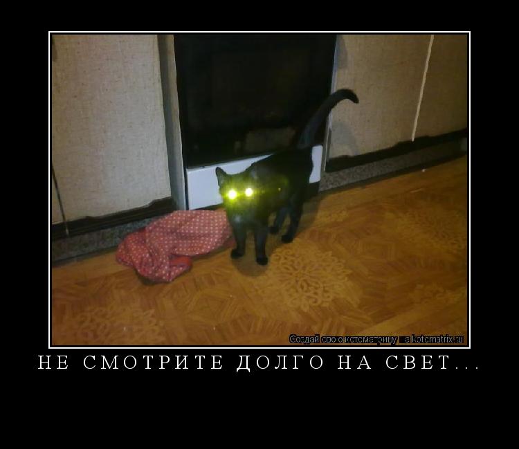 Котоматрица: Не смотрите долго на свет... 