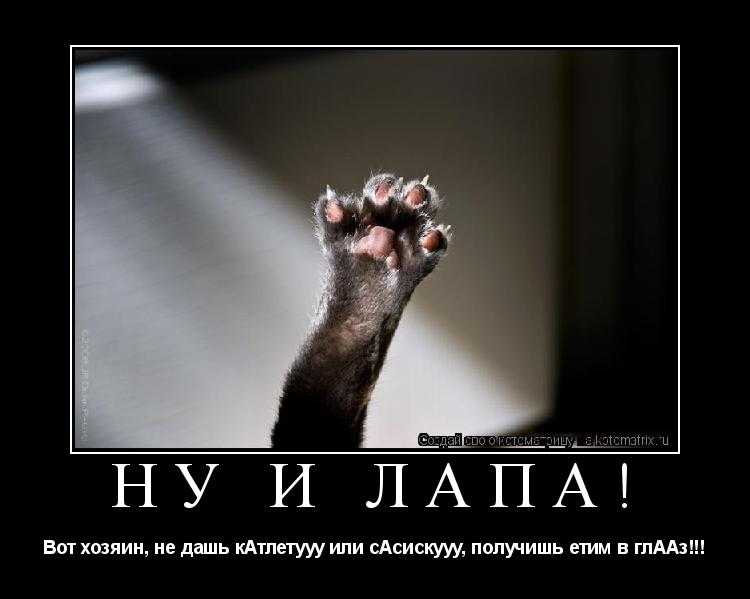 Котоматрица: Ну и лапа! Вот хозяин, не дашь кАтлетууу или сАсискууу, получишь етим в глААз!!!