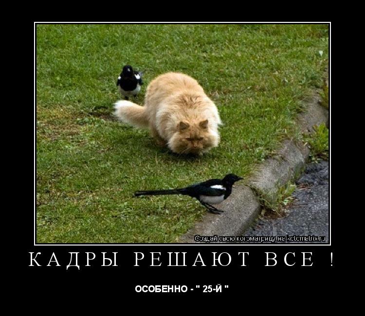 Кадры решают всё ! ОСОБЕННО - " 25-Й "... Котоматрица: Кадры решают всё ! ОСОБЕННО - " 25-Й "
