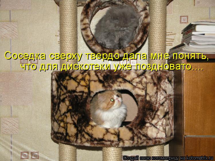 Котоматрица: Соседка сверху твердо дала мне понять, что для дискотеки уже поздновато....