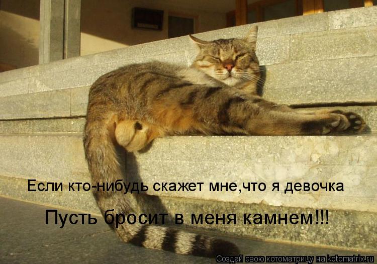 Котоматрица: Если кто-нибудь скажет мне,что я девочка Пусть бросит в меня камнем!!!