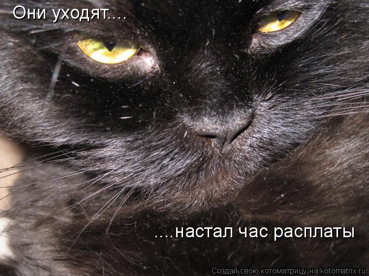Котоматрица: Они уходят.... ....настал час расплаты