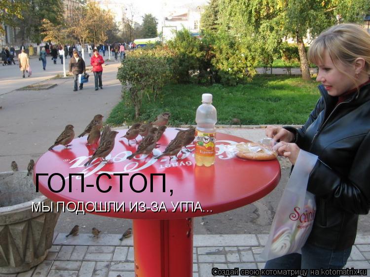 Котоматрица: ГОП-СТОП, МЫ ПОДОШЛИ ИЗ-ЗА УГЛА...