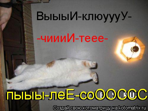 Котоматрица: ВыыыИ-клюуууУ- -чиииИ-теее-  пыыы-леЕ-соООССС   пыыы-леЕ-соООССС