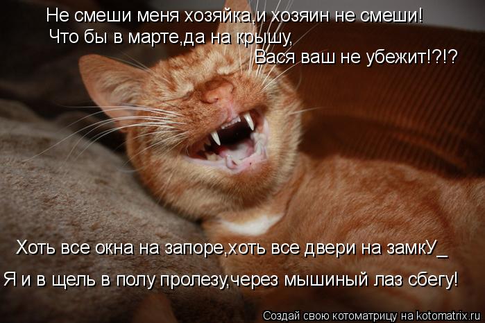 Не смеши меня хозяйка,и хозяин не смеши! Что бы в марте,да на крышу, Вася ваш не убежит!?!? Я и в щел... Котоматрица: Не смеши меня хозяйка,и хозяин не смеши! Что бы в марте,да на крышу, Вася ваш не убежит!?!? Я и в щель в полу пролезу,через мышиный лаз сбегу! Хот
