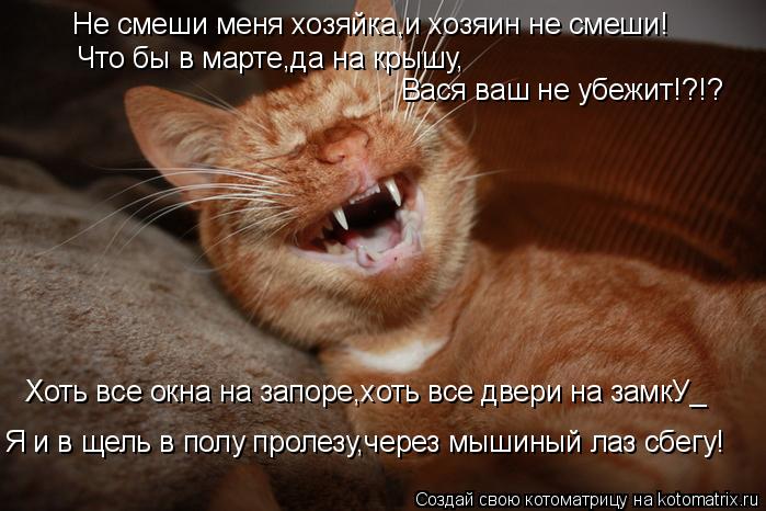 Котоматрица: Не смеши меня хозяйка,и хозяин не смеши! Что бы в марте,да на крышу, Вася ваш не убежит!?!? Я и в щель в полу пролезу,через мышиный лаз сбегу! Хот