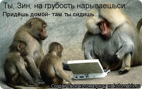 Ты, Зин, на грубость нарываешьси... Придёшь домой- там ты сидишь...... Котоматрица: Ты, Зин, на грубость нарываешьси... Придёшь домой- там ты сидишь...