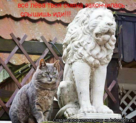 всё лёва твоя смена закончилась слышишь иди!!!... Котоматрица: всё лёва твоя смена закончилась слышишь иди!!!