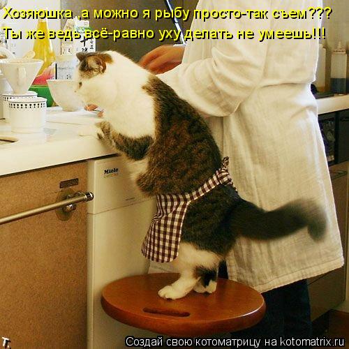Хозяюшка ,а можно я рыбу просто-так съем??? Ты же ведь всё-равно уху делать не умеешь!!!... Котоматрица: Хозяюшка ,а можно я рыбу просто-так съем??? Ты же ведь всё-равно уху делать не умеешь!!!