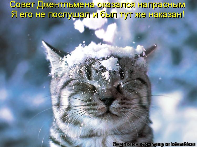 Я его не послушал и был тут же наказан! Совет Джентльмена оказался напрасным... Котоматрица: Я его не послушал и был тут же наказан! Совет Джентльмена оказался напрасным