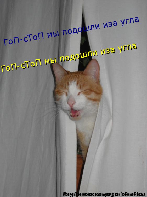 ГоП-сТоП мы подошли иза угла ГоП-сТоП мы подошли иза угла... Котоматрица: ГоП-сТоП мы подошли иза угла ГоП-сТоП мы подошли иза угла