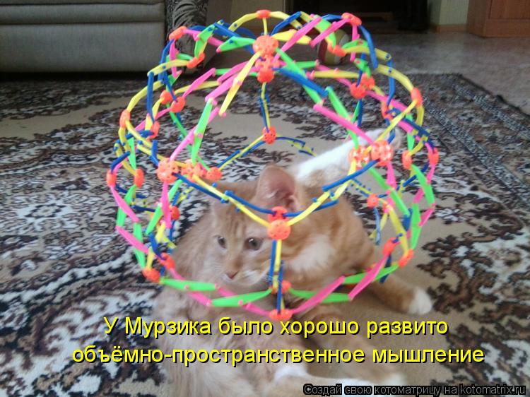 У Мурзика было хорошо развито объёмно-пространственное мышление... Котоматрица: У Мурзика было хорошо развито объёмно-пространственное мышление