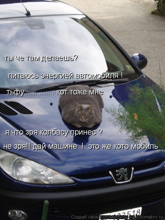 ты че там делаешь? тьфу ............. кот тоже мне питаюсь энергией автомобиля ! я что зря колбасу пр... Котоматрица: ты че там делаешь? тьфу ............. кот тоже мне питаюсь энергией автомобиля ! я что зря колбасу принес ? не зря!! дай машине ! это же кото мобиль